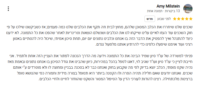צילום מסך 2025-04-03 111719